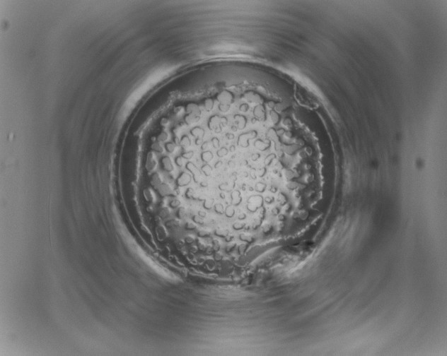 X0000068771333200604281228