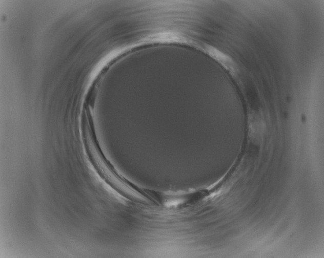 X0000068771334200604281228