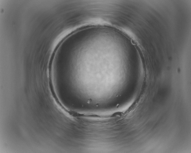 X0000068771335200604281228