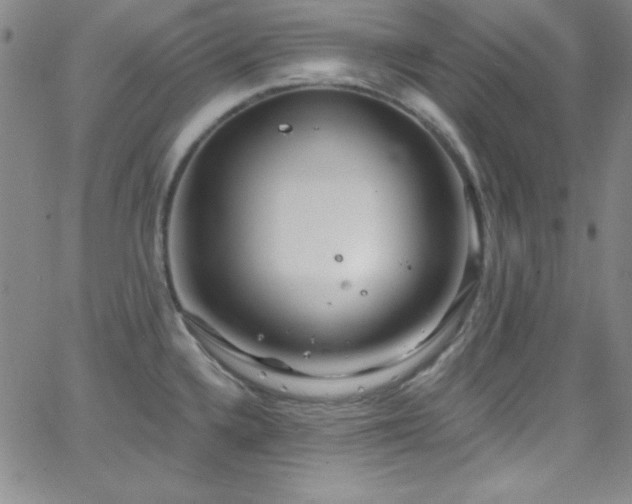 X0000068771336200604281228