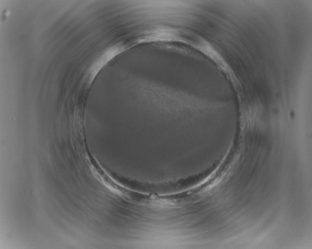 X0000068771337200604281228