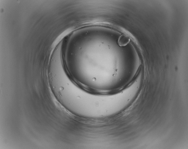 X0000068771338200604281228