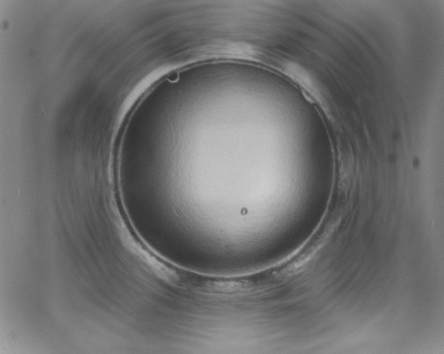 X0000068771339200604281228