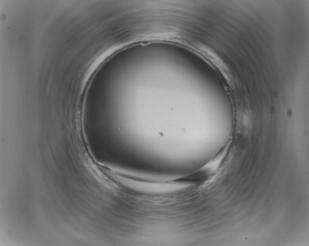 X0000068771340200604281228