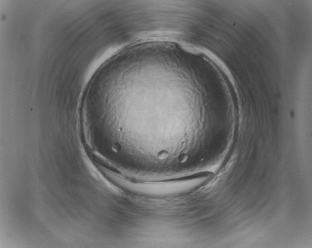 X0000068771341200604281228