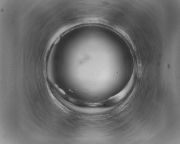 X0000068771342200604281228