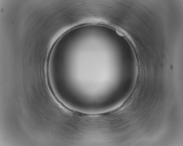 X0000068771343200604281228