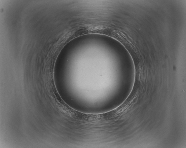 X0000068771345200604281228