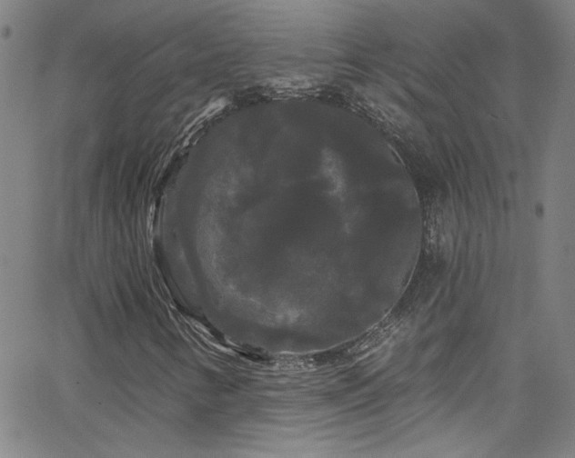 X0000068771346200604281228