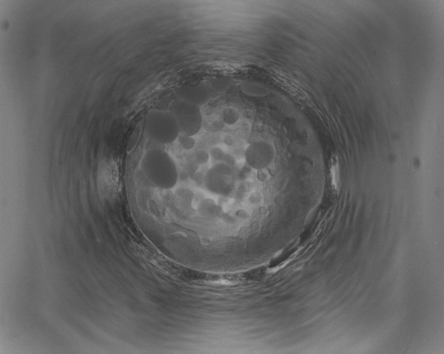 X0000068771347200604281228