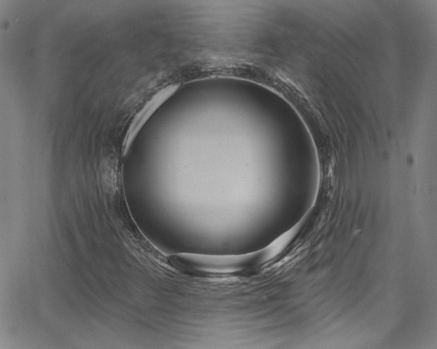 X0000068771348200604281227