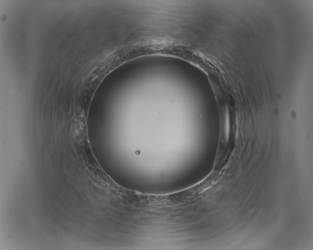 X0000068771349200604281227