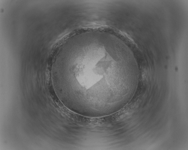 X0000068771350200604281227