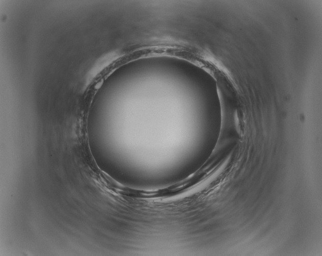 X0000068771352200604281227