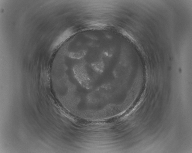 X0000068771354200604281227