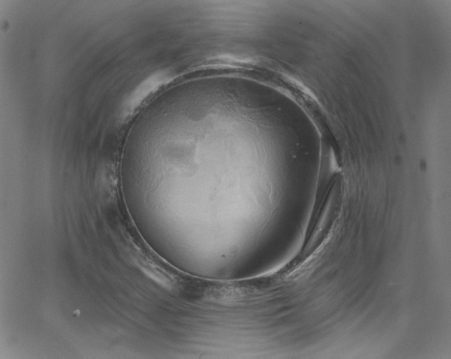 X0000068771355200604281227