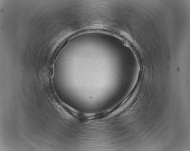 X0000068771356200604281227