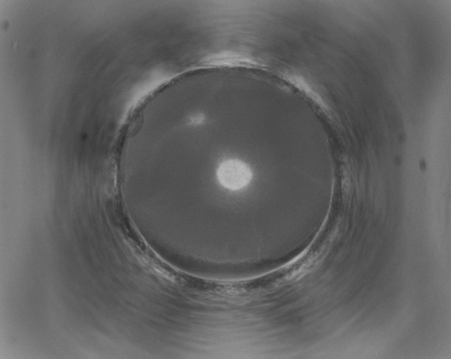 X0000068771358200604281227