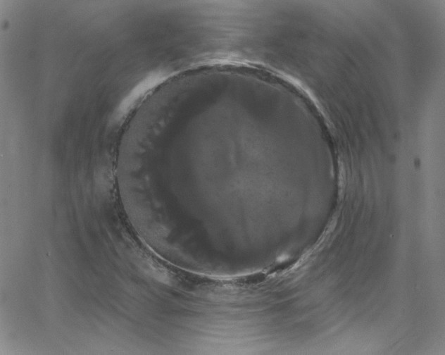 X0000068771359200604281227