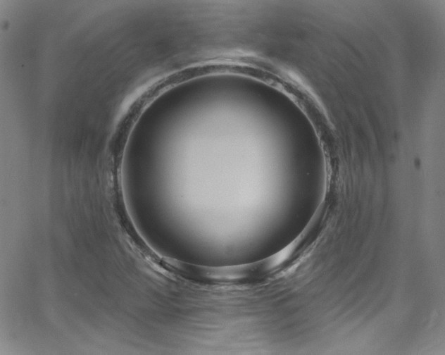 X0000068771360200604281227