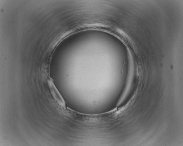 X0000068771361200604281227