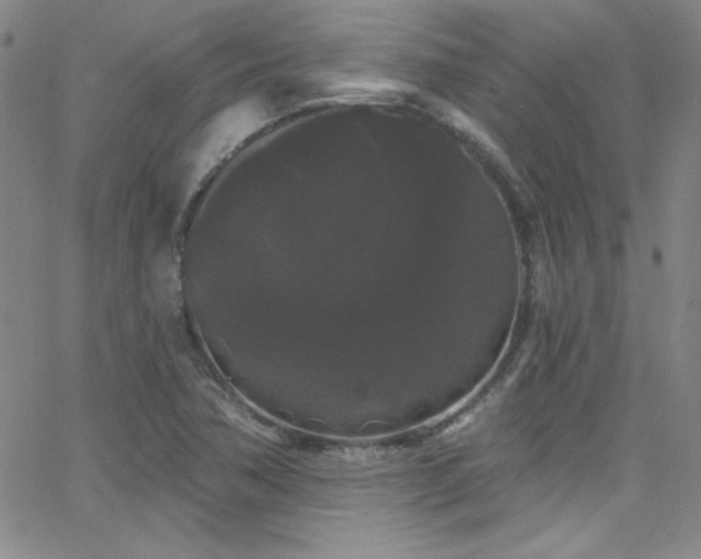 X0000068771362200604281227