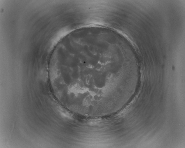 X0000068771363200604281227