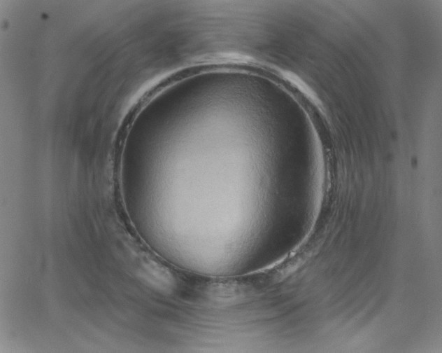 X0000068771364200604281227