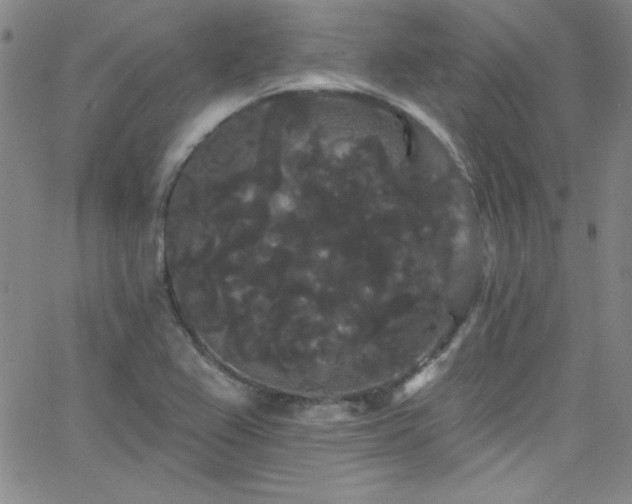 X0000068771367200604281227