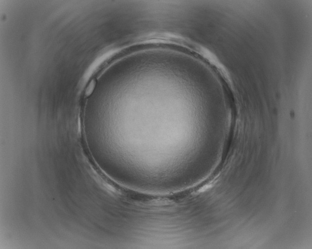 X0000068771368200604281227