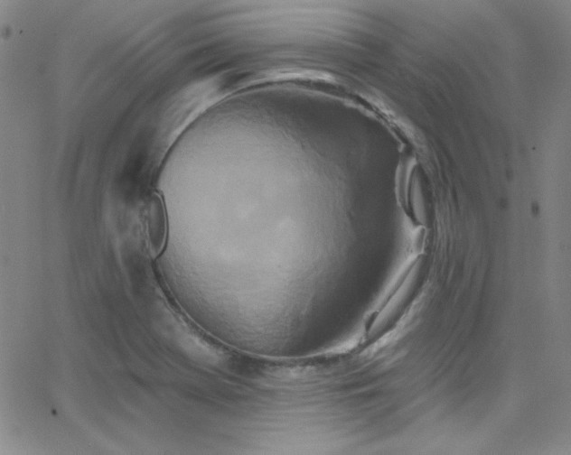 X0000068771369200604281227