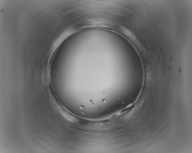 X0000068771370200604281227