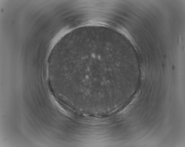 X0000068771371200604281227