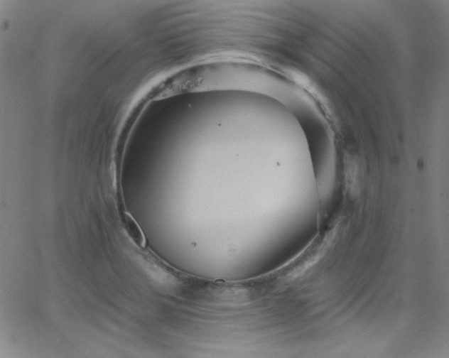 X0000068771372200604281227