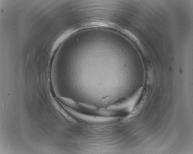 X0000068771373200604281227