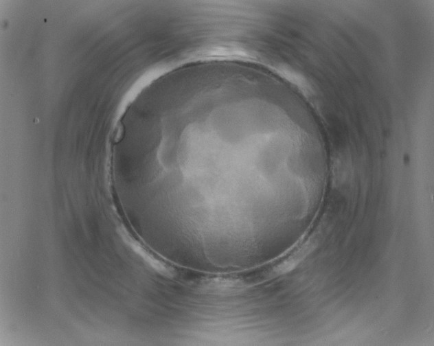 X0000068771374200604281227