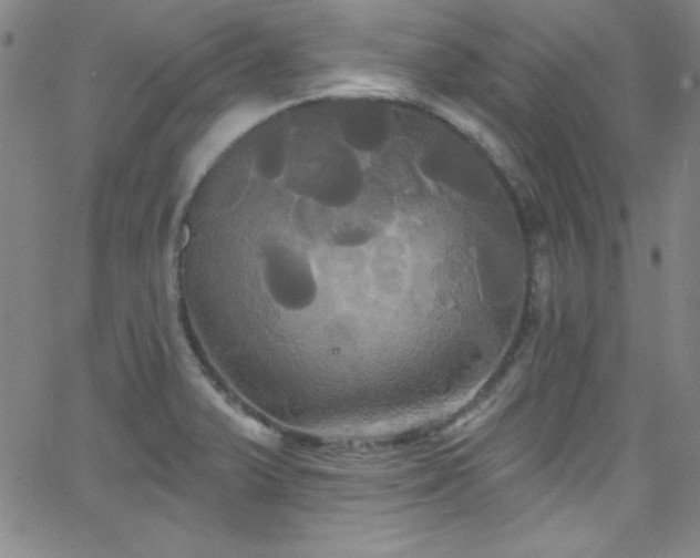 X0000068771375200604281227