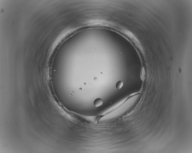 X0000068771376200604281227