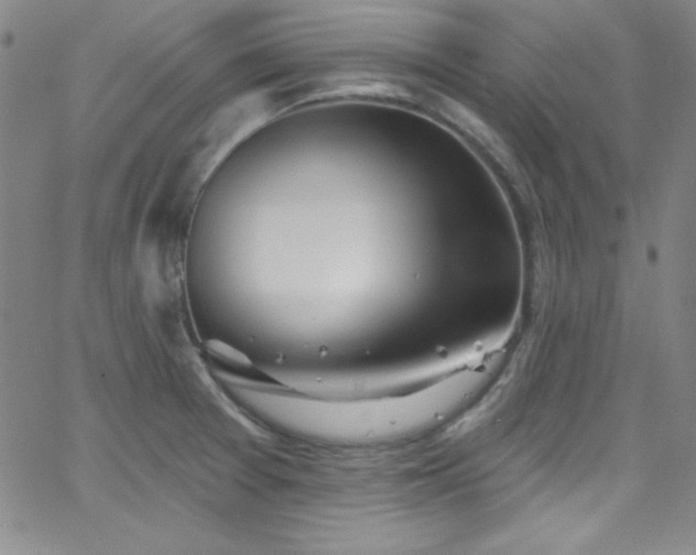 X0000068771377200604281227