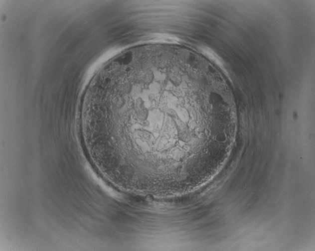 X0000068771379200604281227