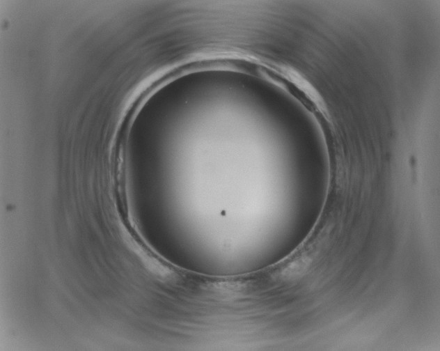 X0000068771380200604281227