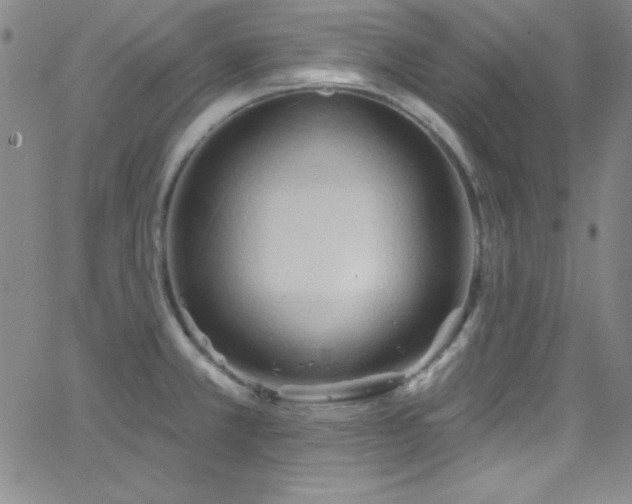 X0000068771381200604281227