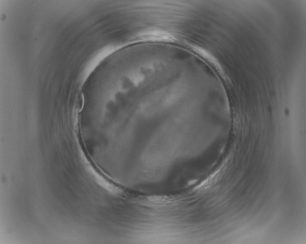 X0000068771383200604281227