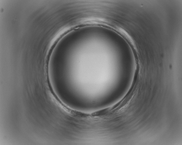 X0000068771384200604281227