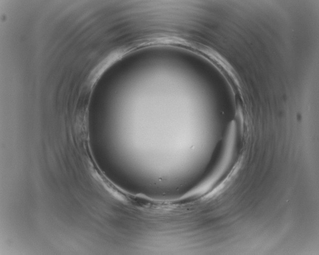 X0000068771385200604281227