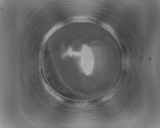 X0000068771386200604281227