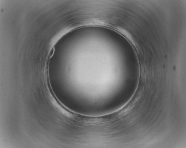 X0000068771387200604281227