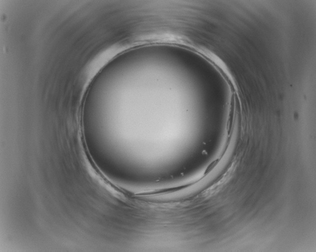 X0000068771389200604281227