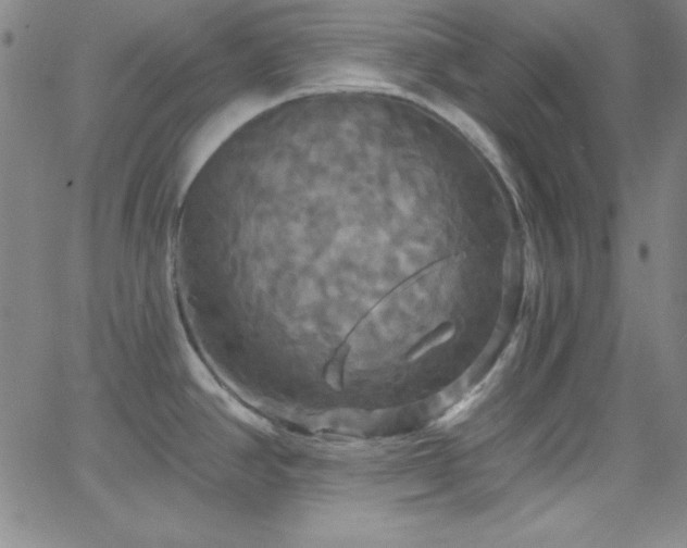 X0000068771390200604281227