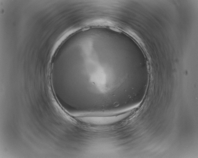 X0000068771392200604281227